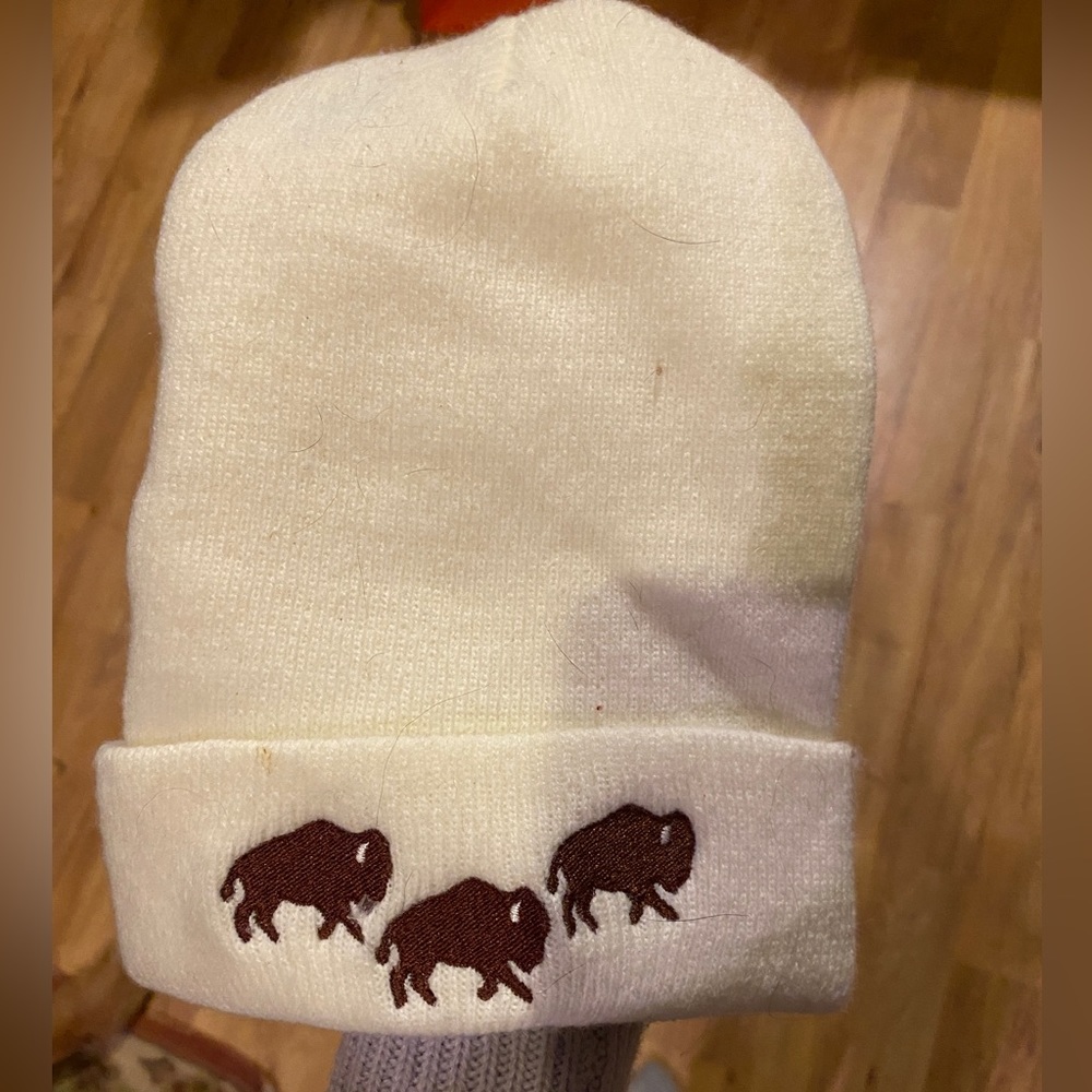 Bison Embroidered Beanie